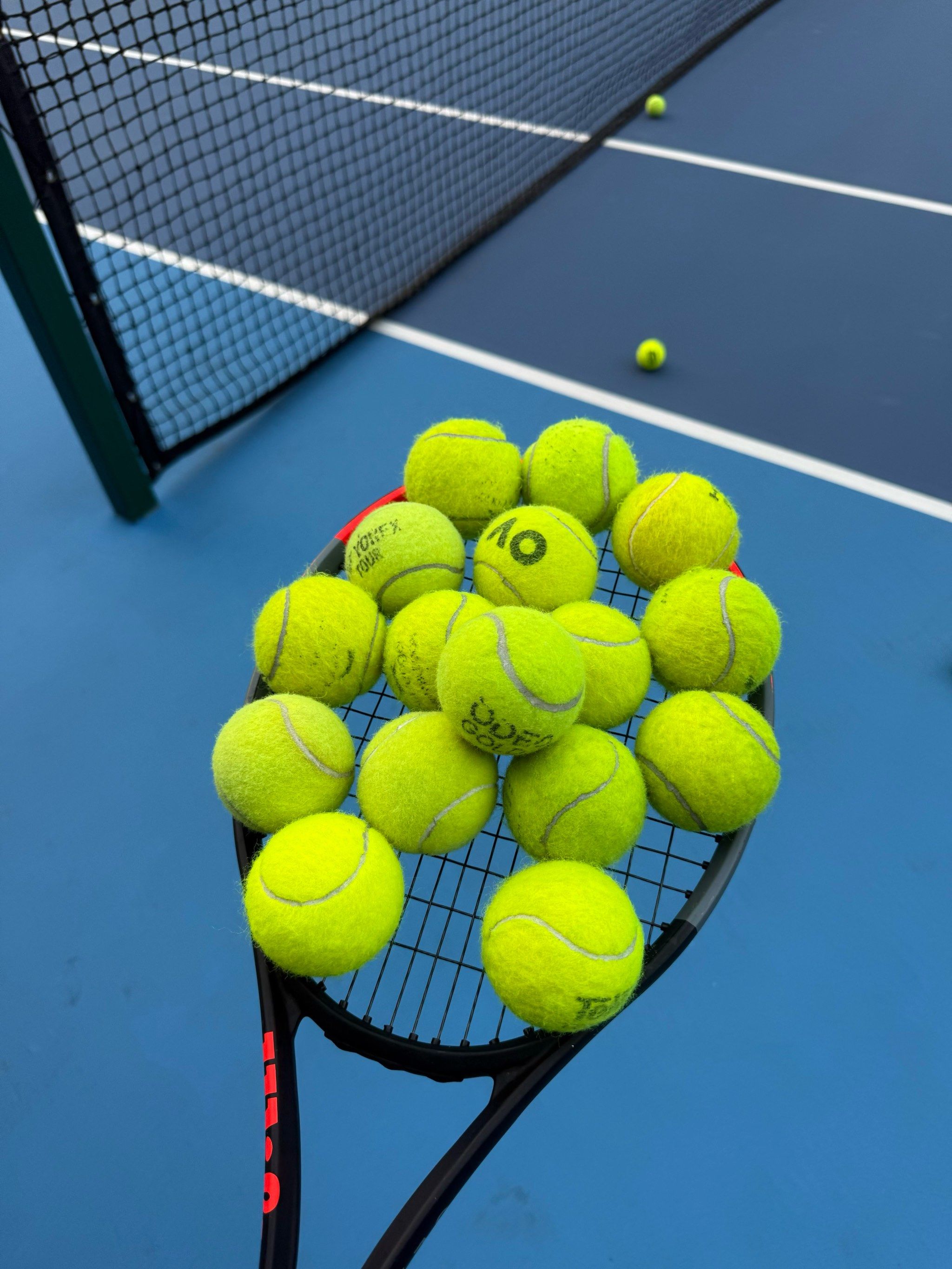 队友们都能 队友们都能